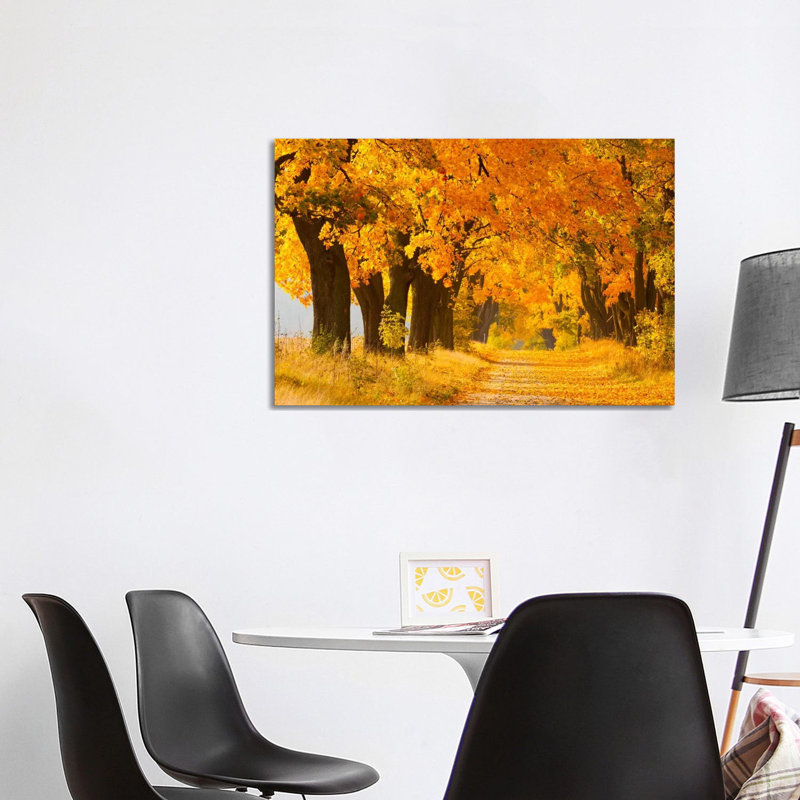 Poland, Jura, Maple Alley II by Mikolaj Gospodarek - Wrapped Canvas Print, 101.6 cm H x 66.04 cm W