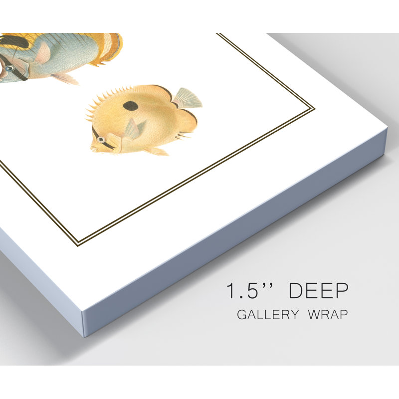 Antique Tropical Fish I - impression sur toile tendue, H 36 po x l 24 po x P 1 po