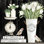 Tulipes et écailles 2886500