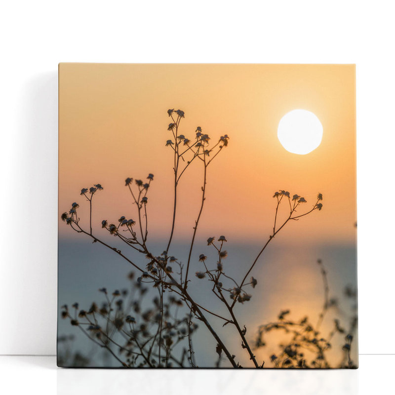 Plants Silhouette - Canvas Print Wall Art, 12" H x 12" W