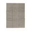 Area Rug in Gray