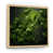 Natural Floater Framed selected