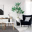 66 plantes-97701035