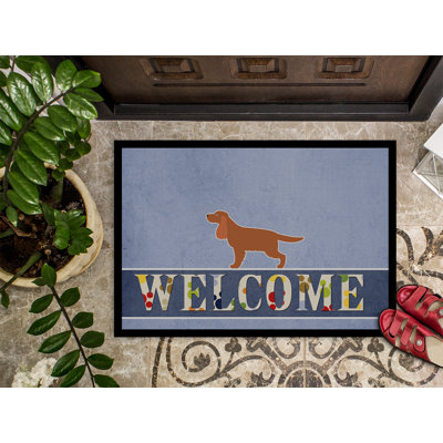 Non-Slip Outdoor Doormat