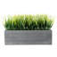 23.49cm Faux Onion Grass Grass in Cement Planter