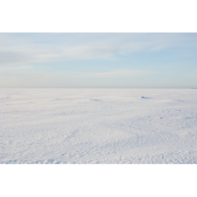 Snowy Desert - Wrapped Canvas Print