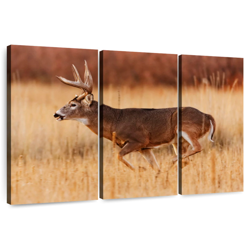 Brampt Running Buck, 20" H x 33" W