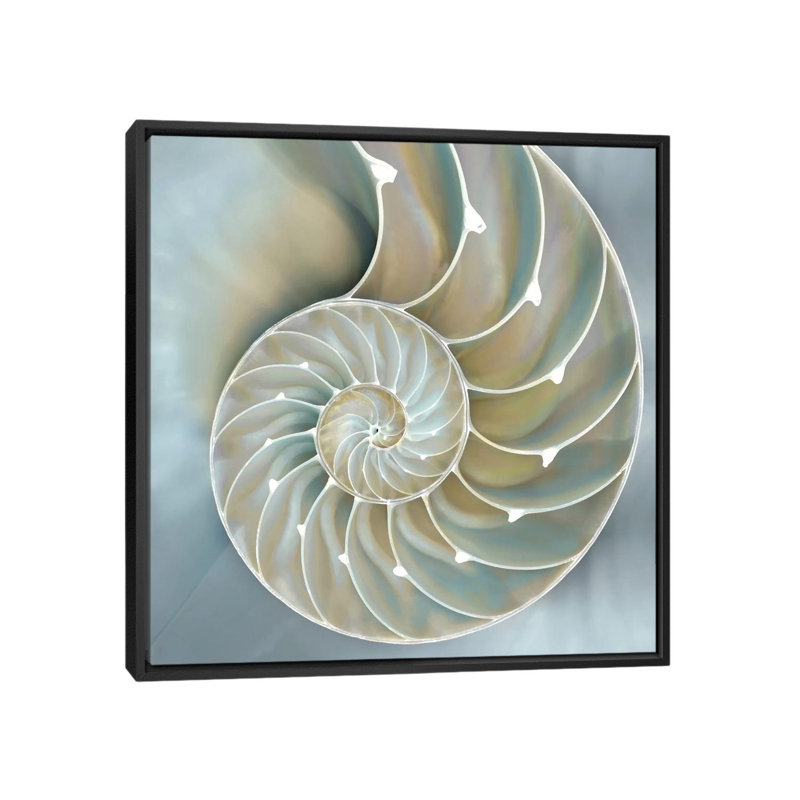 «Nautilus in Blue II», impression sur toile, H 18 po x l 18 po x P 1,5 po, Toile avec cadre noir, Pas de tapis