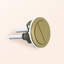 Gold Dual Flush Button