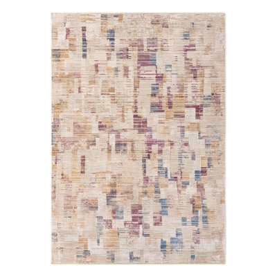 Indoor Rug