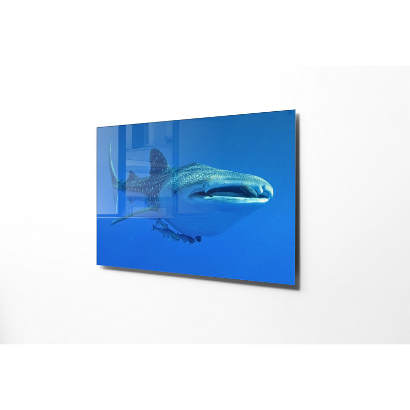 Stunning Tempered Glass Wall Art Painting, 27.6 x 39.4 inches | 100% Tempered Glass, Thickness: 0.16 inches | Elegant Home Decor for Living Room or Office, Durable & Easy to Clean, Perfect Gift Idea