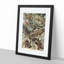 Lizards by Ernst Haeckel - Picture Frame Painting-62768026-62768027