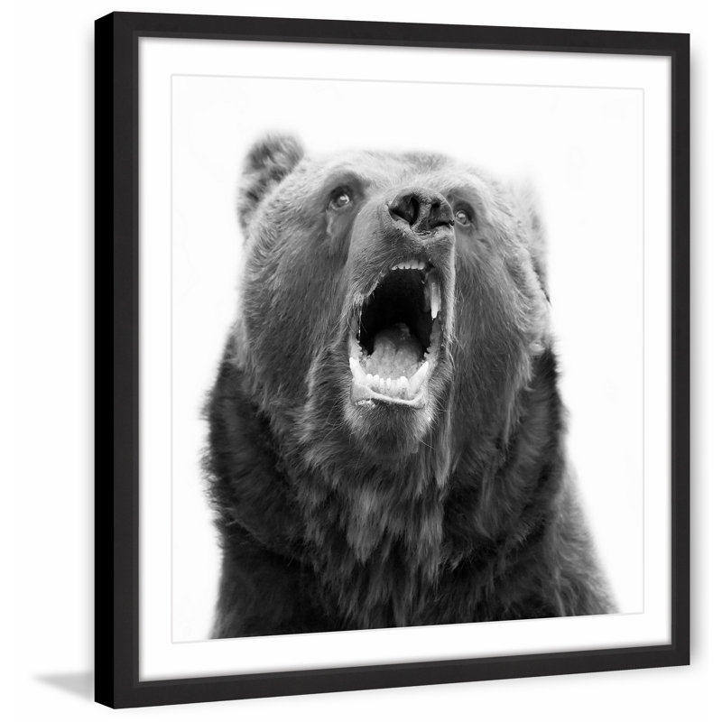 Single Picture Frame Print, 41cm H x 41cm W x 3.81cm D