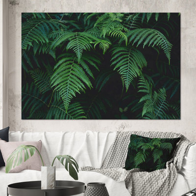 Fougères vert foncé dans la forêt I - photographie sur toile