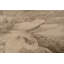 Tapis beige Trombley-2016902437
