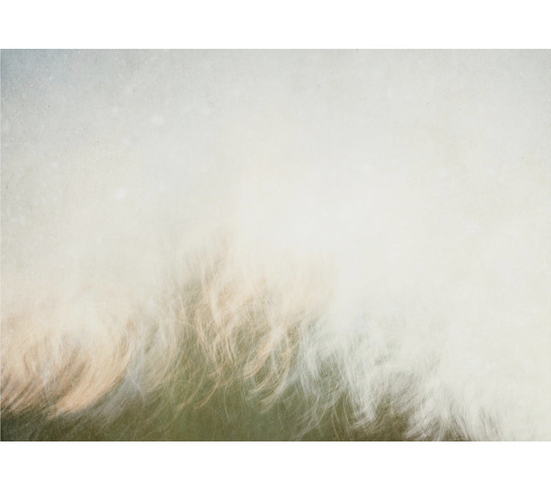Paysage en mouvement, H 51 po x l 40 po, Blanc