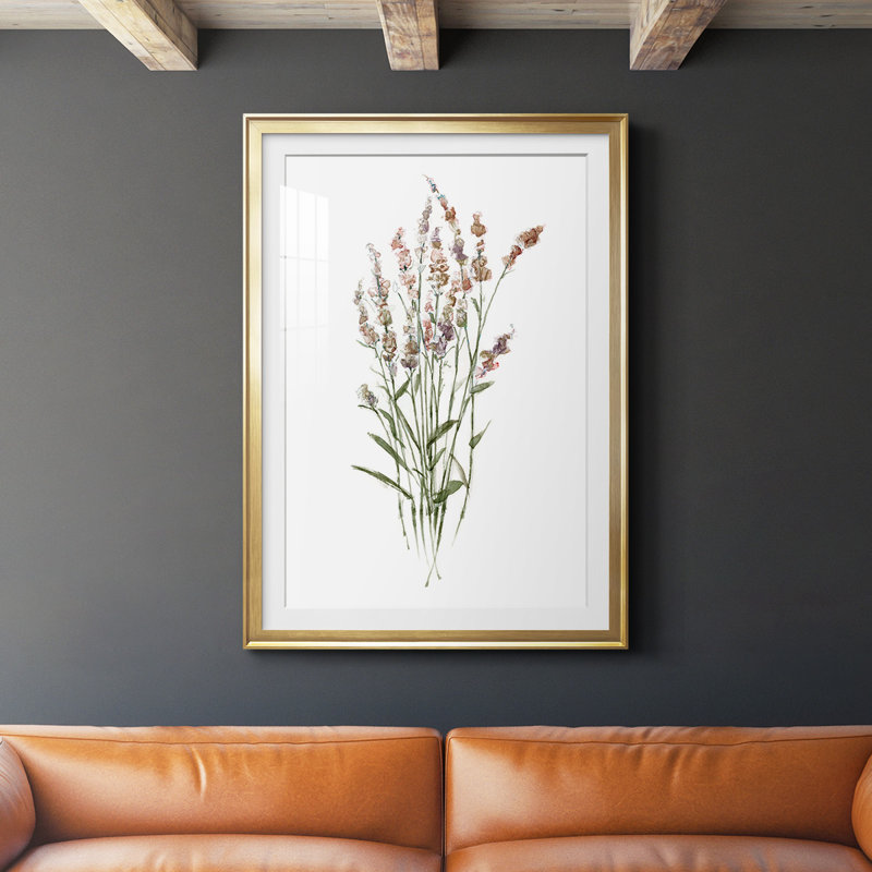 Reproduction encadrée de qualité supérieure Dicat Botanical II - prête à être suspendue, Or, H 24,5 po x l 18,5 po x P 1 po