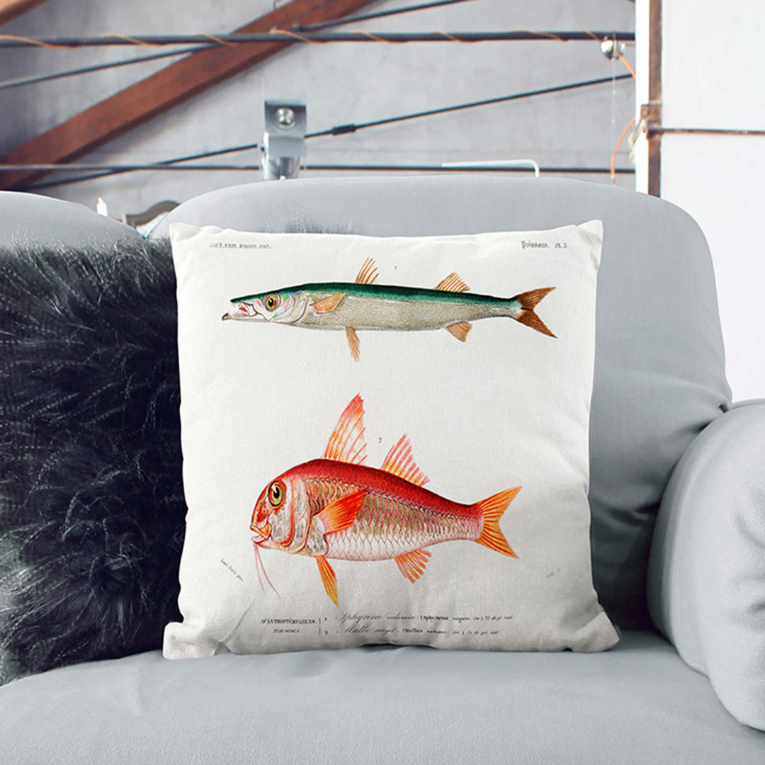 Fish Illustrations PL. 5 by Charles D' Orbigny Cushion with Filling