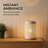 Metal Tabletop Lantern-49090735