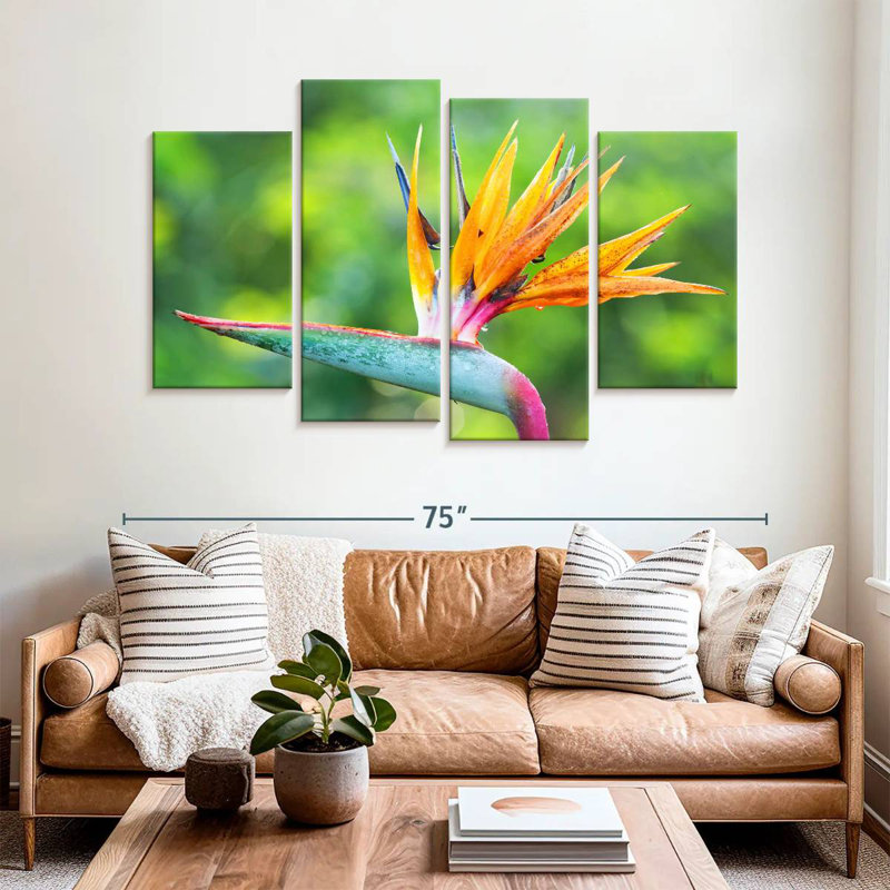 Fleur Harnek, oiseau du paradis