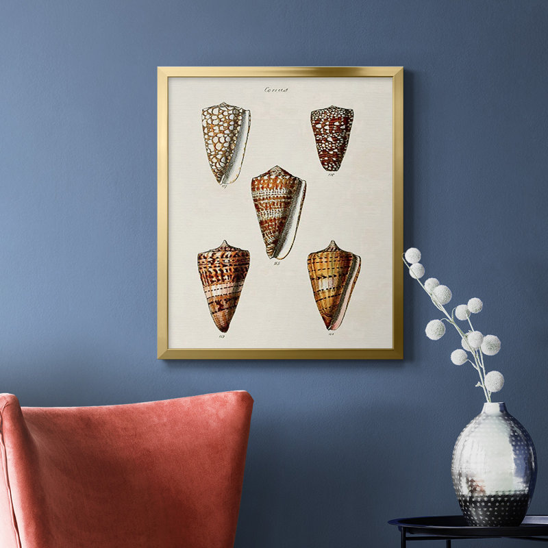 Toile encadrée de qualité supérieure Cone Shell Collection II - prête à être accrochée, Or, H 24 po x l 20 po