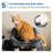 Darone 35.8'' H Cat Tree-512004599
