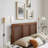 Sunlit Squiggle Arm Wall Sconce In Walnut Black-101991365
