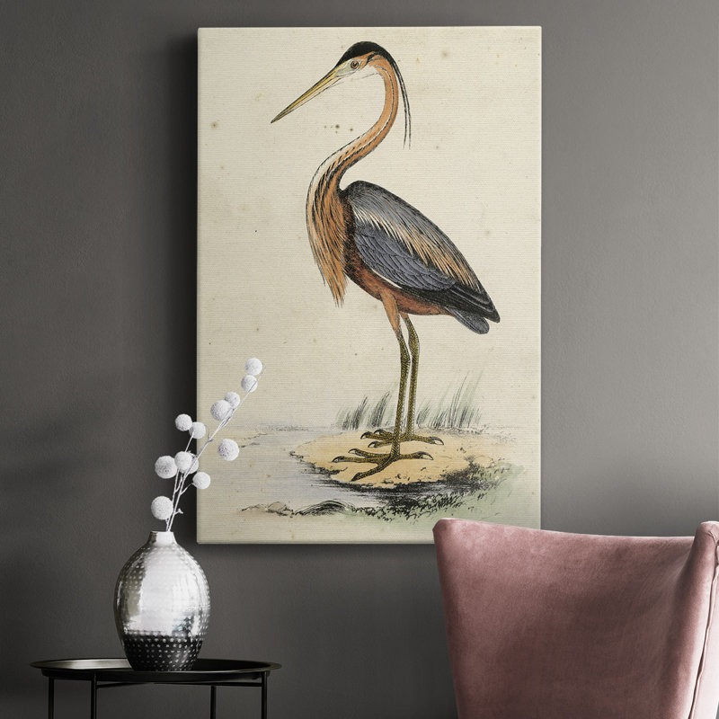 " Antique Heron I " Painting Print, 18" H x 12" W x 1.5" D