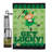 Double Sided 18.5'' H x 13'' W Polyester St. Patrick's Day Garden Flag
