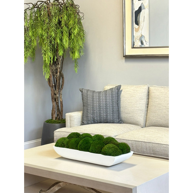 Moss Preserved in Oblong Planter, 7" H x 19.5" W x 10.5" D
