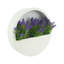 Outdoor UV Rated Lavender in Hanging Planter