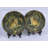 2-Piece Leopard Plate Set