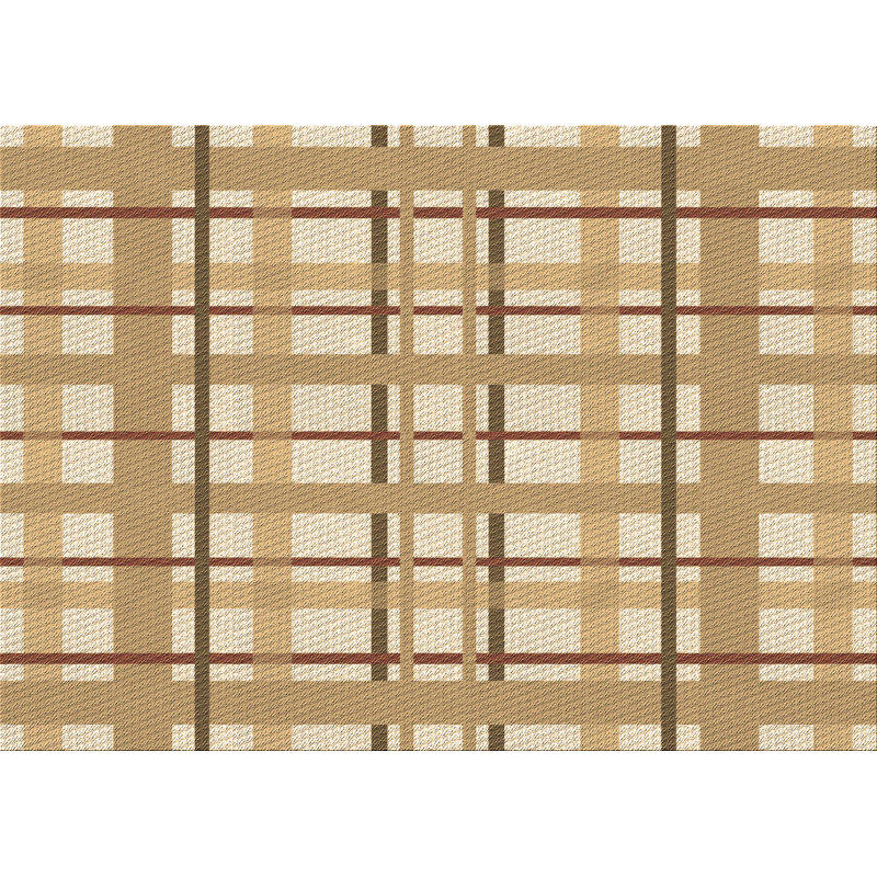 Plaid Indoor Rug, Rectangle 5' x 8'