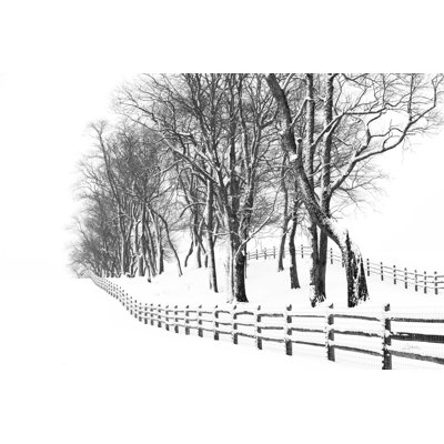 Winter Wonderland