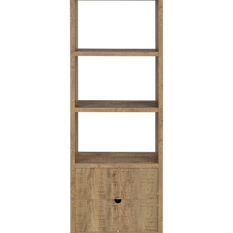 , Mango - look, 3 tablettes, tour média, tablettes horizontales, livres, armoire à deux portes, mangue Odds and Ends, art, rangement