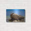 "Seychelles - Mahe" par AKG-1779470916