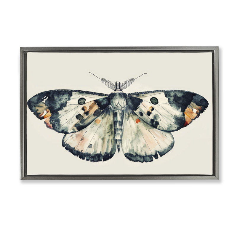 Toile flottante encadrée aquarelle noire avec papillon de nuit, Cadre flottant gris lustré, H 21 po x l 31 po