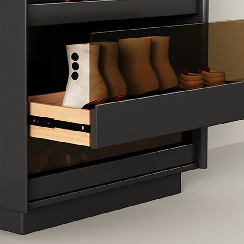 Light luxury fashion storage shoe cabinet, H 42,52 po x l 23,62 po x P 15,75 po, Noir