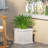 MGO PLANTER-180038582