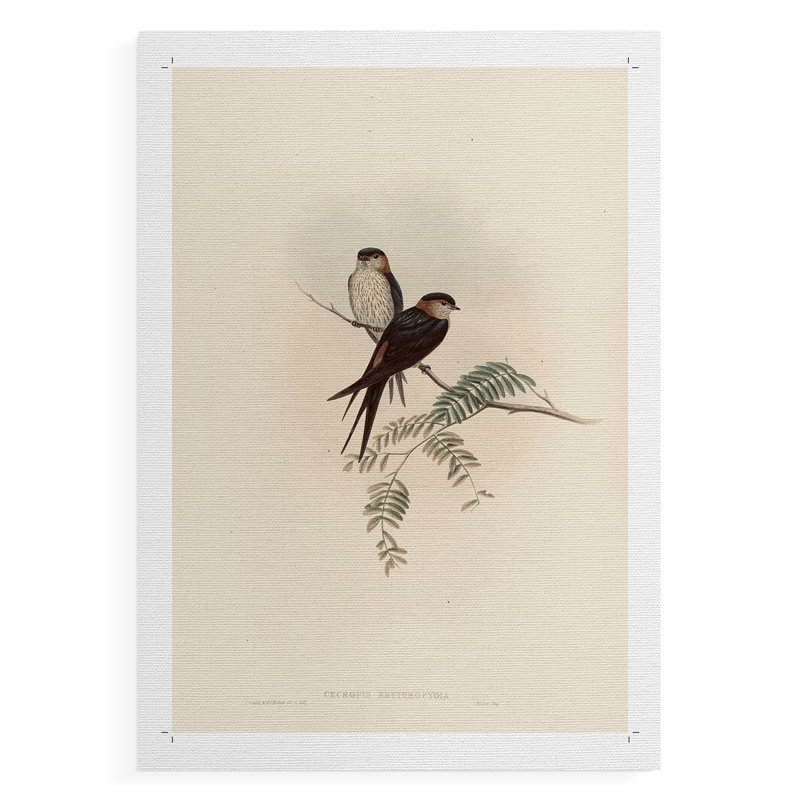 Imprimé animalier rétro - impression de toile seulement - non encadrée, H 27 po x l 18 po