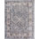 3 Oriental Area Rug in Gray