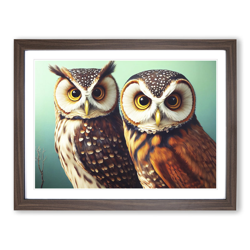 Curious Owls - Framed Print, 25cm H x 34cm W x 2cm D, Walnut