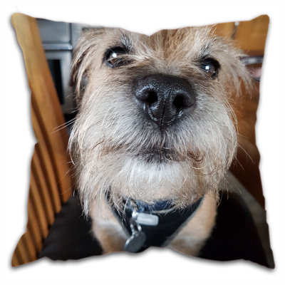 Ted Square Throw Cushion