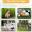 40 po de hauteur, clôture pour chien, 16 panneaux, portes, portatif, pliable, parc pour véhicule récréatif et de cour, pliable, voyage