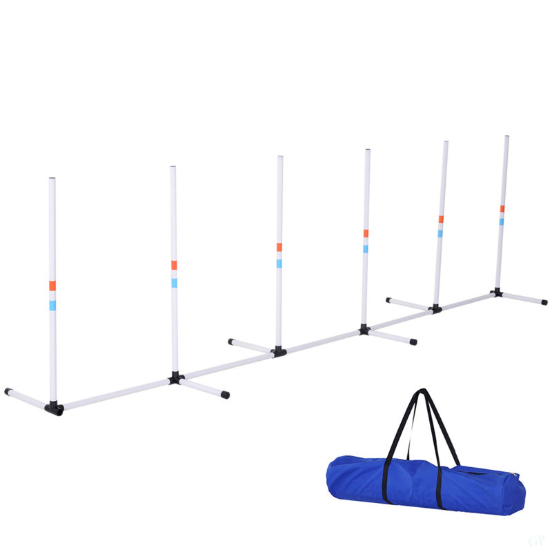 Ensemble d'obstacles pour chien Pawhut