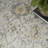 Okan Persian Area Rug-1610182801