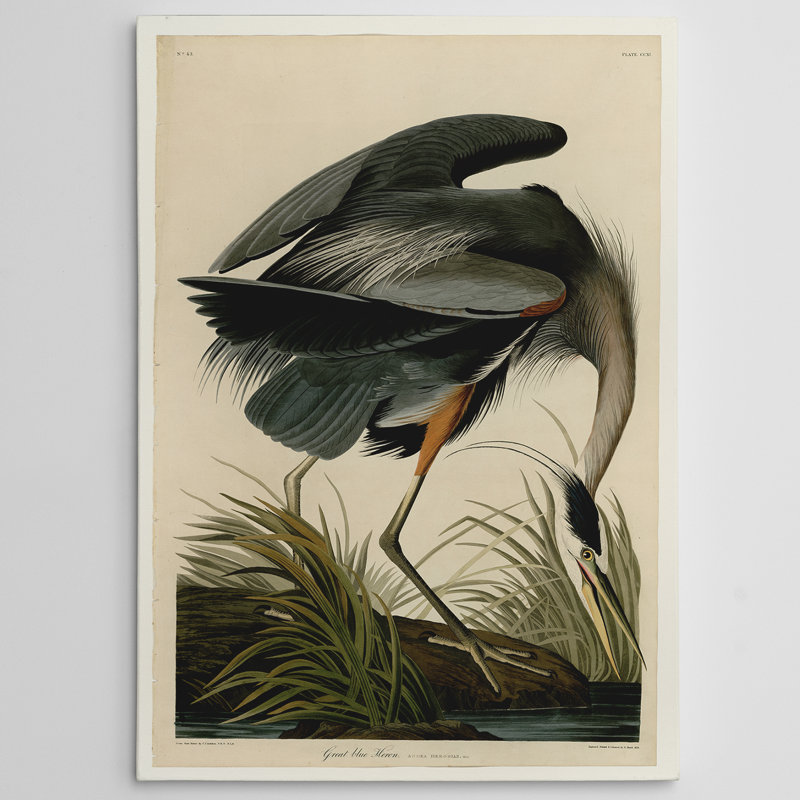 « great blue » par héron, reproduction d’art sur toile, Toile tendue, H 36 po x l 24 po