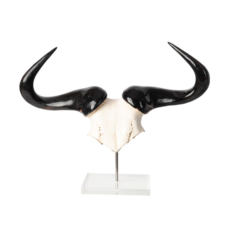 Mounted Wildebeest Skull Plate