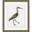 Wetland Bird Study 5 Painting