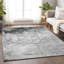 Tapis intérieur / extérieur gris lavable à la machine Xhevrie-1923419452